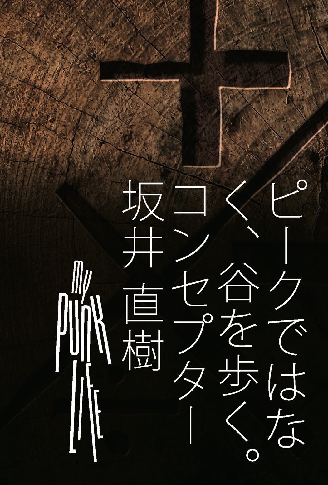 ピークではなく、谷を歩く。 Walking the Valley — A Life Built with Failure